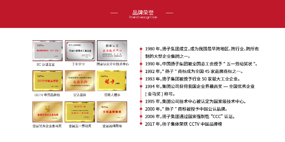 安徽扬子智能制造有限公司